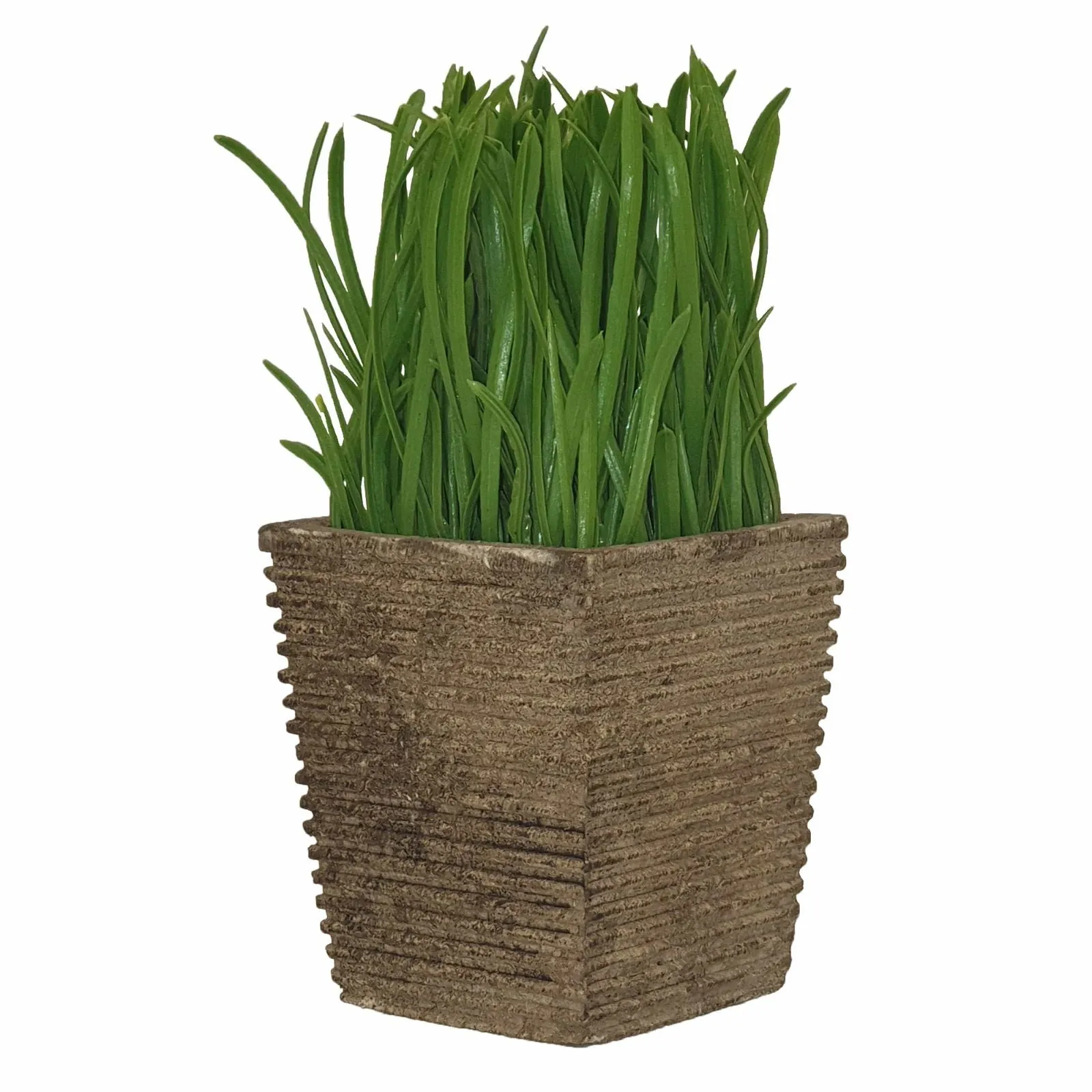 Lush Green 16cm Artificial Pot Plant by Criterion