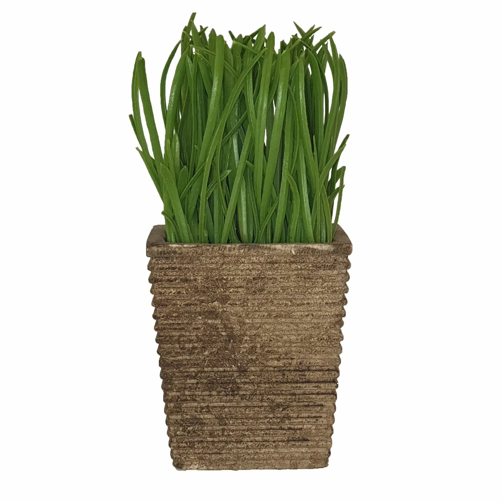 Lush Green 16cm Artificial Pot Plant by Criterion